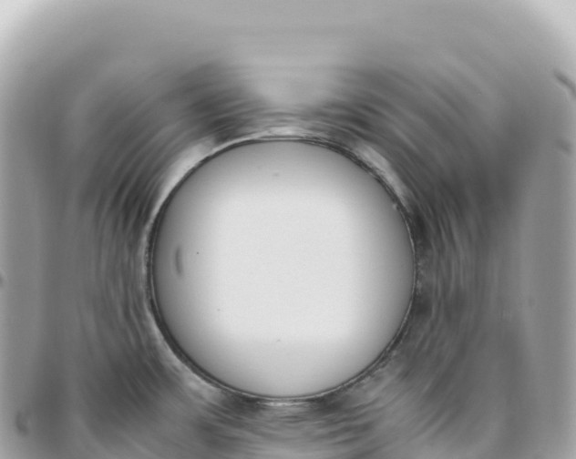 X0000095891483200801251151