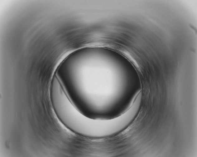 X0000095891484200801251151