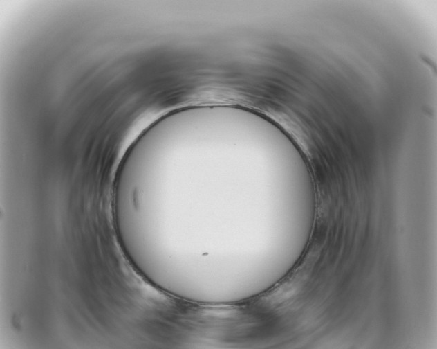 X0000095891486200801251151