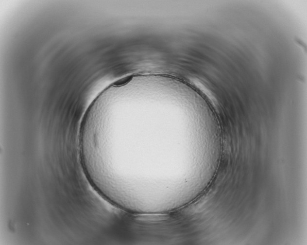 X0000095891487200801251151