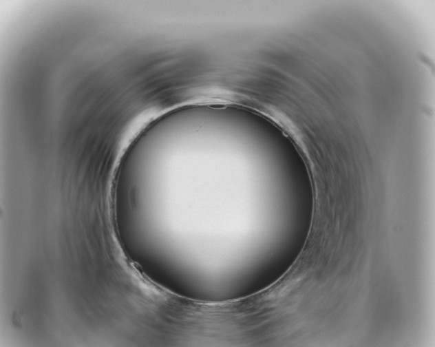 X0000095891488200801251151