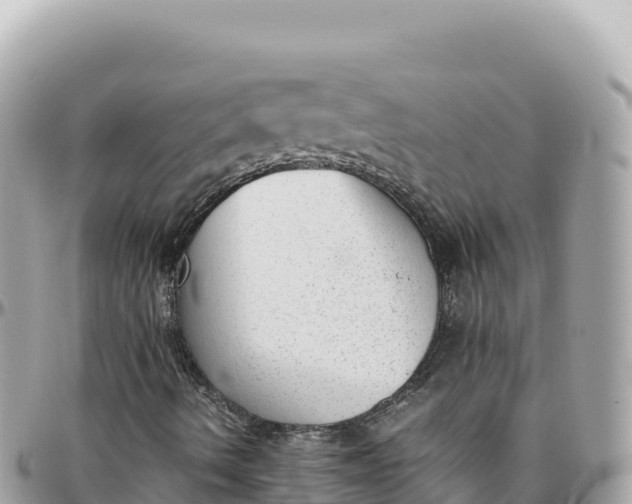 X0000095891490200801251151