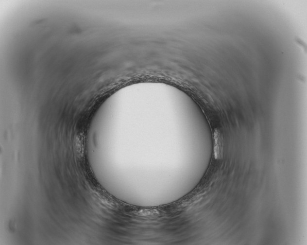 X0000095891491200801251151
