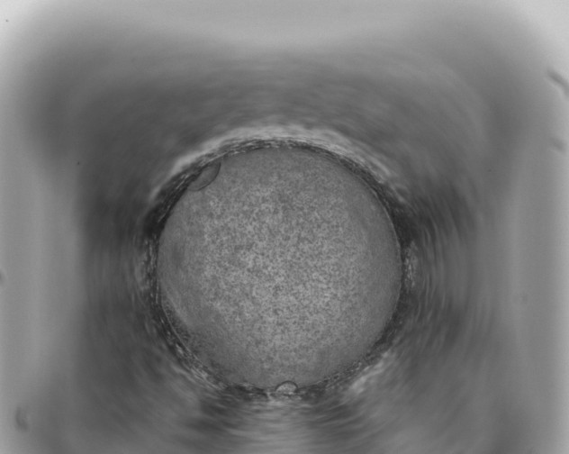 X0000095891494200801251151