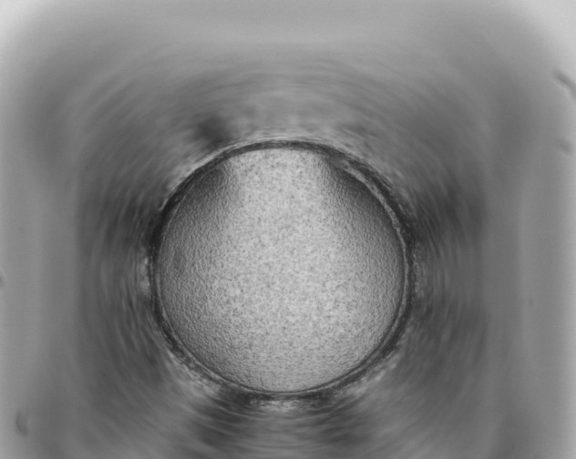 X0000095891497200801251151