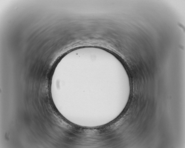 X0000095891498200801251151