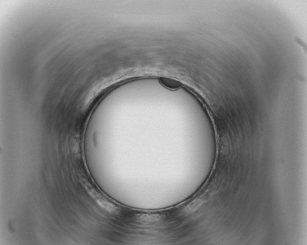 X0000095891499200801251151