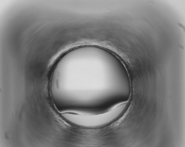 X0000095891502200801251151