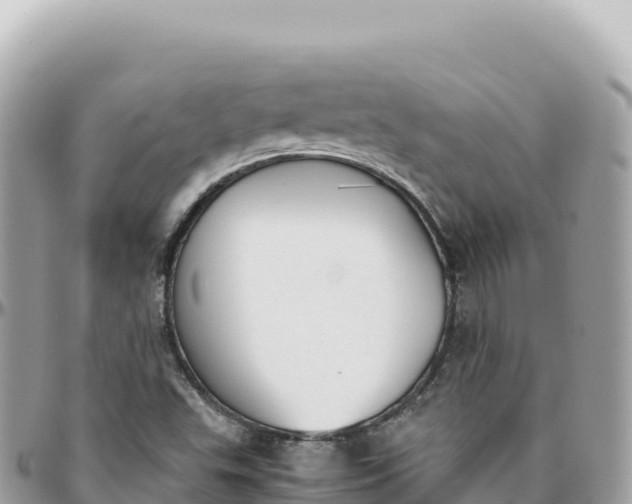 X0000095891503200801251151