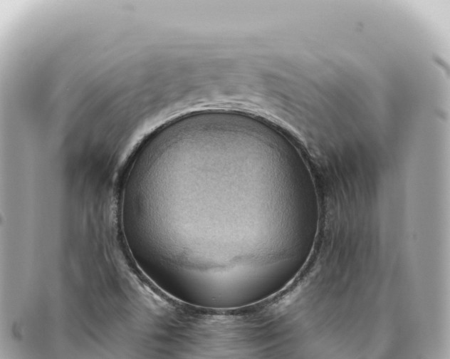 X0000095891506200801251151