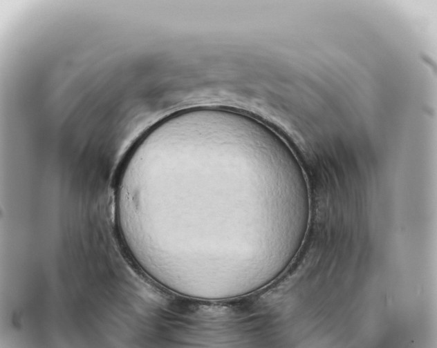 X0000095891509200801251151