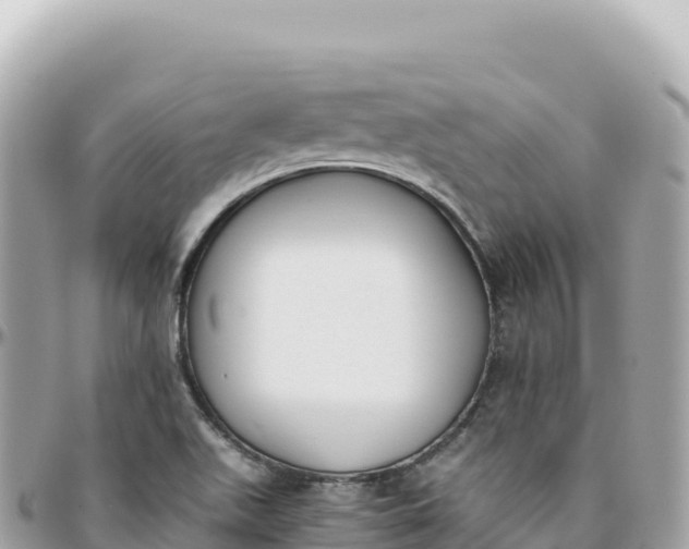 X0000095891511200801251151
