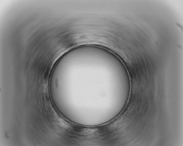 X0000095891513200801251151