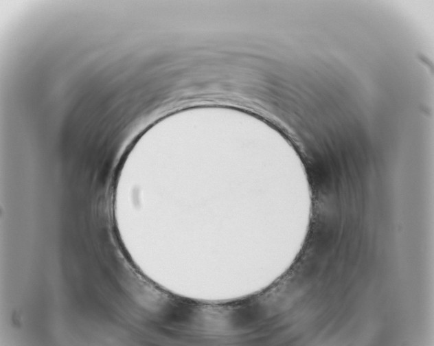 X0000095891514200801251151