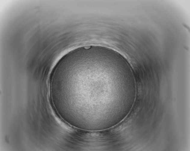 X0000095891515200801251151