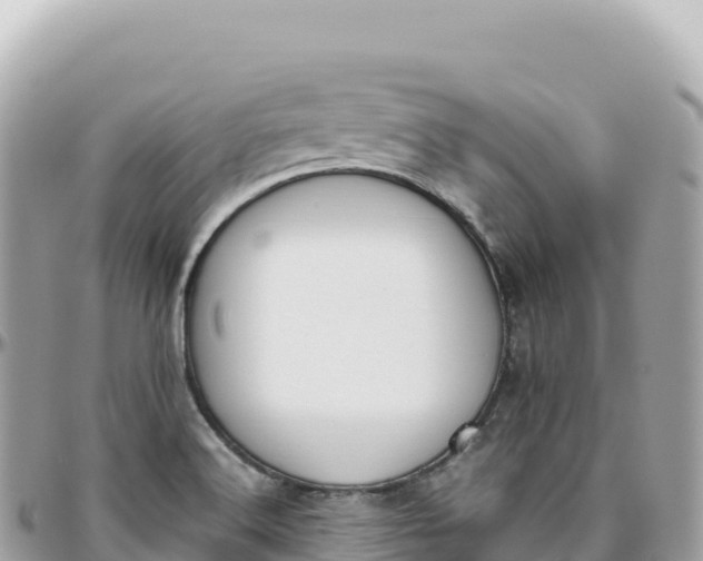 X0000095891516200801251151