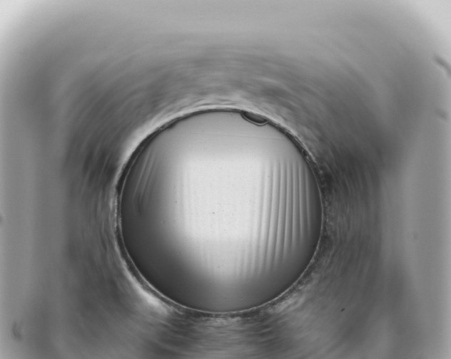 X0000095891519200801251151
