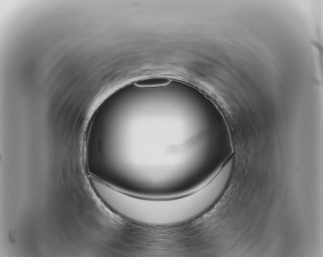X0000095891520200801251151