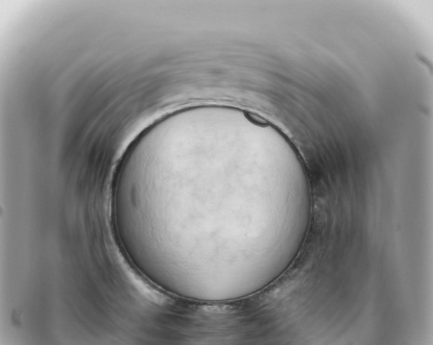 X0000095891523200801251151