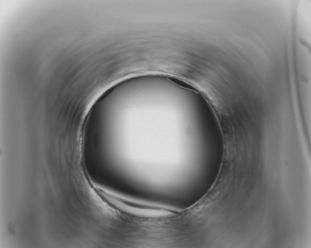 X0000095891524200801251151