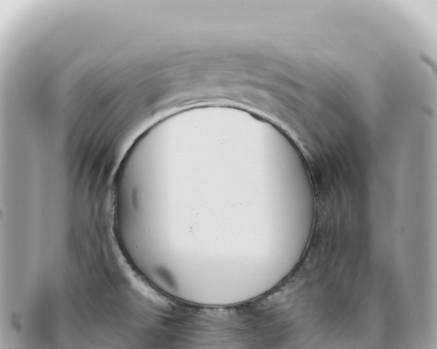 X0000095891526200801251151