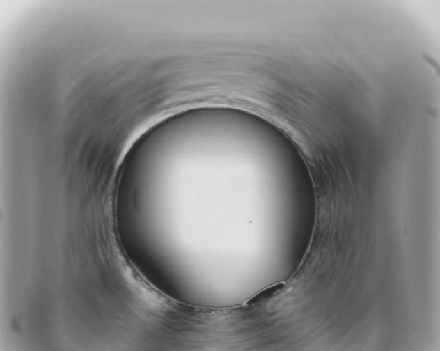 X0000095891530200801251151