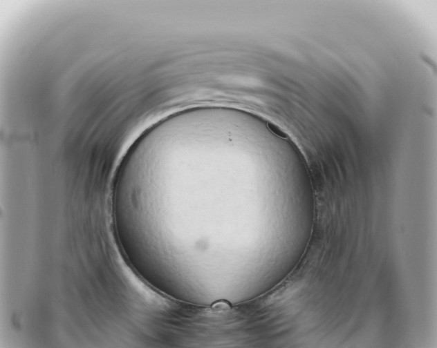 X0000095891531200801251151
