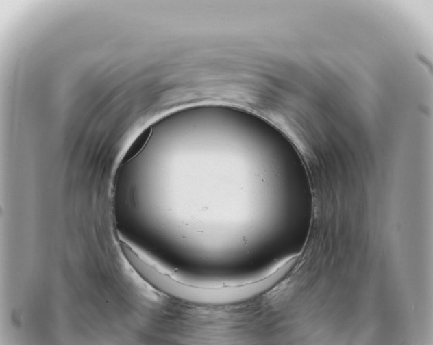 X0000095891532200801251151