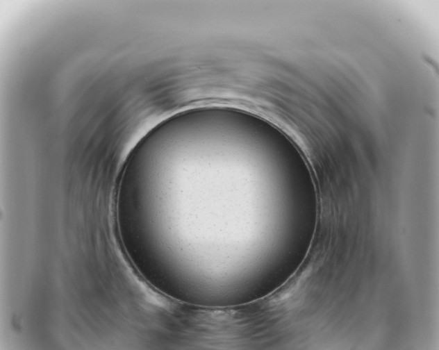X0000095891533200801251151