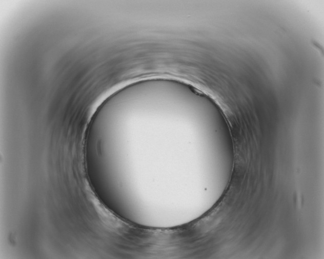 X0000095891534200801251151