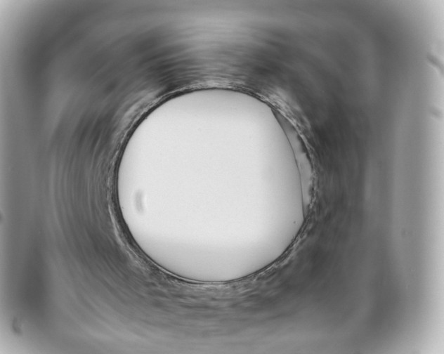 X0000095890001200802011116