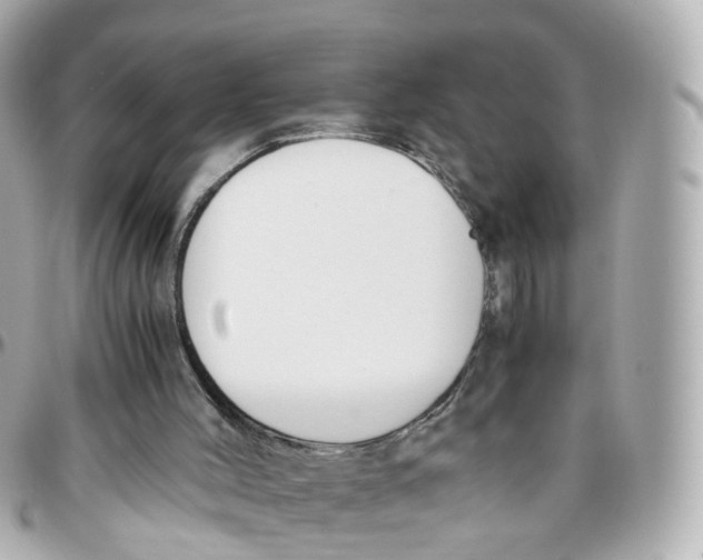 X0000095890004200802011116