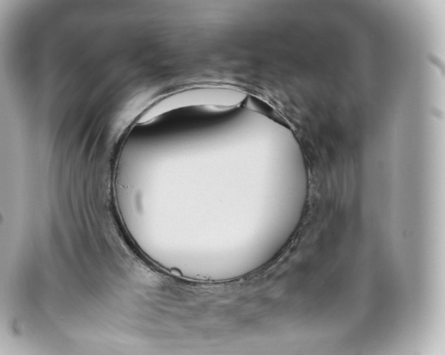 X0000095890005200802011116