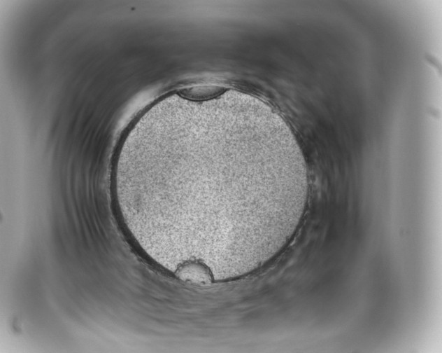 X0000095890006200802011116