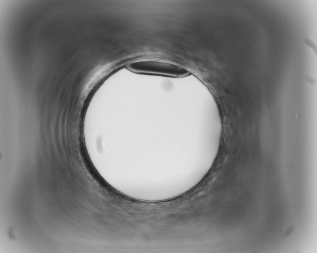 X0000095890007200802011116