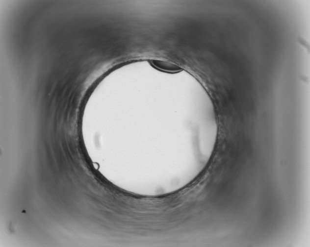 X0000095890008200802011116