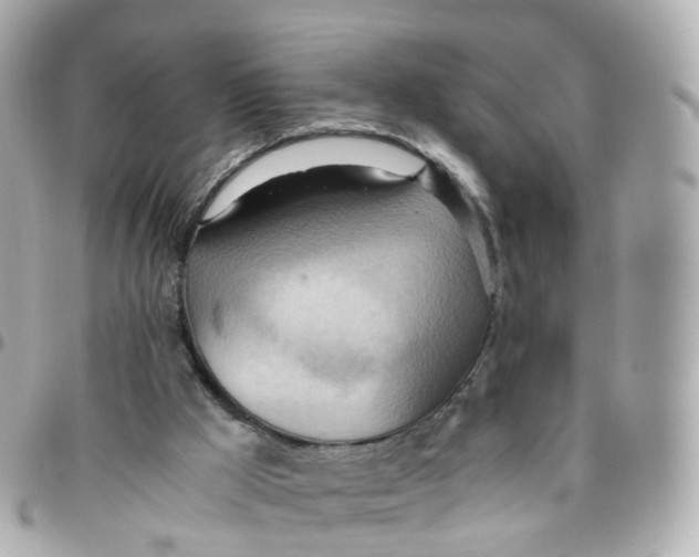 X0000095890009200802011116