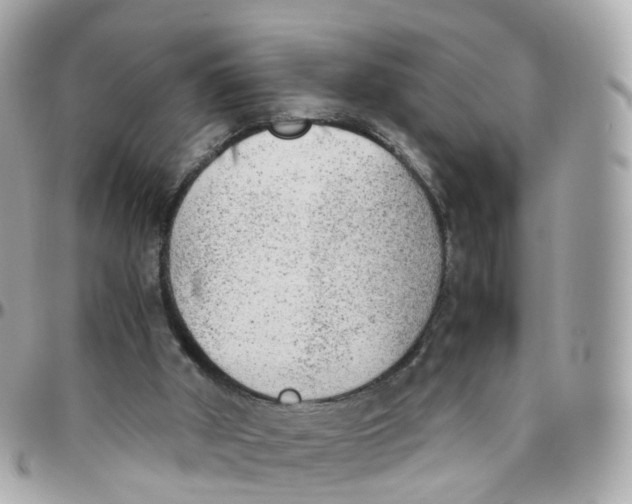 X0000095890010200802011116