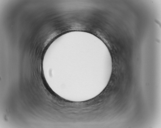 X0000095890011200802011116