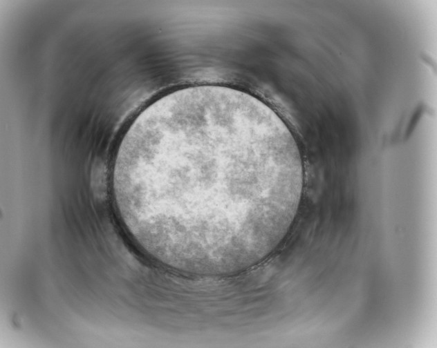 X0000095890012200802011116