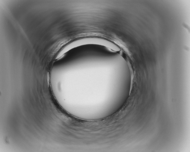 X0000095890013200802011116