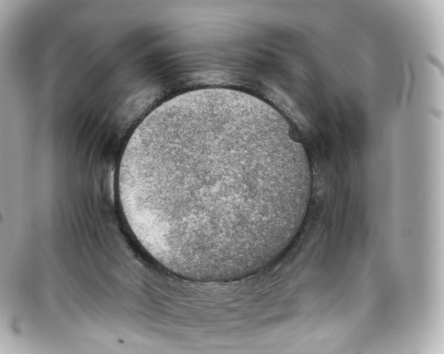 X0000095890014200802011116