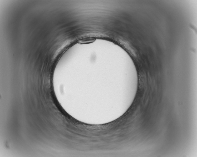 X0000095890015200802011116