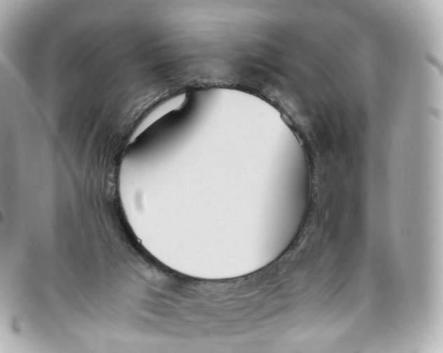 X0000095890017200802011116