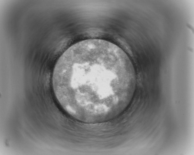 X0000095890018200802011116