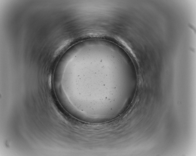 X0000095890019200802011116