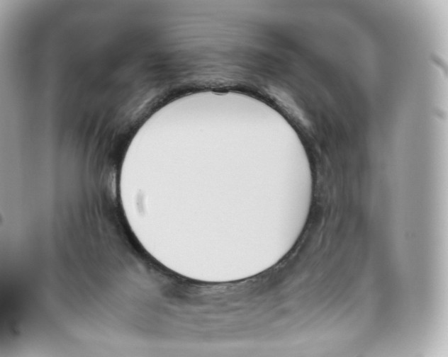 X0000095890021200802011116