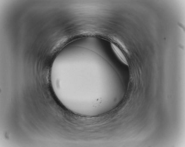 X0000095890023200802011116