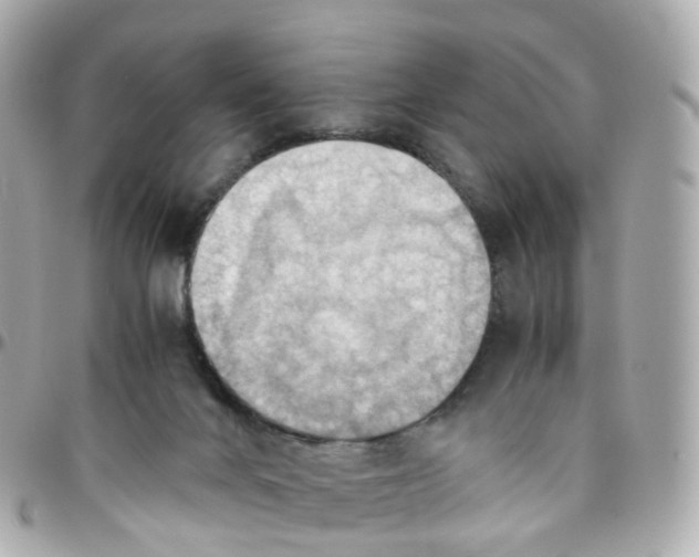 X0000095890024200802011116