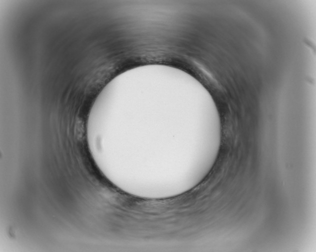 X0000095890025200802011116